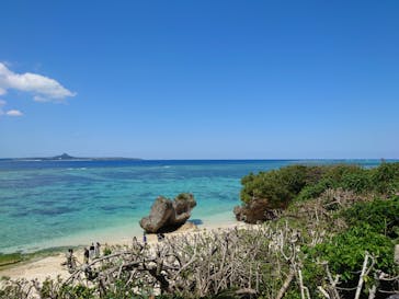 沖縄美ら海水族館に投稿された画像（2025/3/21）