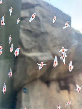 アクアワールド茨城県大洗水族館に投稿された画像（2025/3/21）