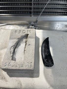 福井県立恐竜博物館に投稿された画像（2025/3/21）