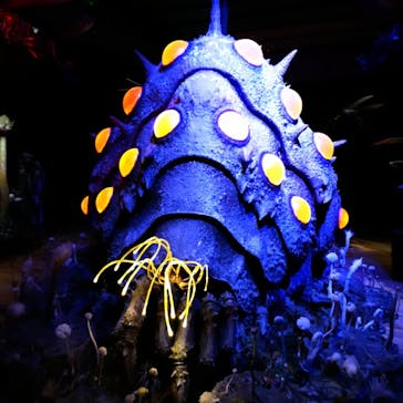 金曜ロードショーとジブリ展　三重展に投稿された画像（2025/3/21）