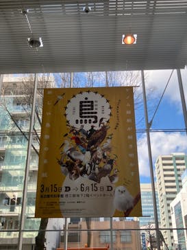 特別展「鳥～ゲノム解析が解き明かす新しい鳥類の系統～」に投稿された画像（2025/3/21）