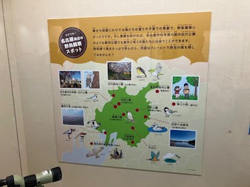 特別展「鳥～ゲノム解析が解き明かす新しい鳥類の系統～」に投稿された画像（2025/3/21）