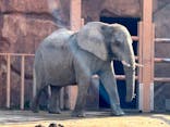 東武動物公園に投稿された画像（2025/3/21）