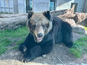 東武動物公園に投稿された画像（2025/3/21）