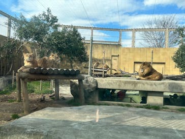 東武動物公園に投稿された画像（2025/3/21）
