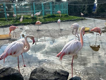 東武動物公園に投稿された画像（2025/3/21）