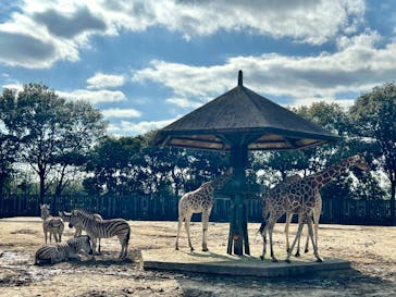 東武動物公園に投稿された画像（2025/3/21）