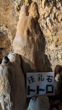 石垣島鍾乳洞に投稿された画像（2025/3/21）