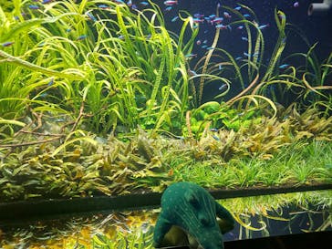 AQUARIUM × ART　atoaに投稿された画像（2025/3/21）