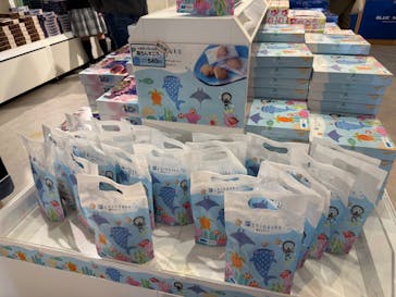 沖縄美ら海水族館に投稿された画像（2025/3/21）