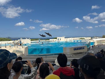 沖縄美ら海水族館に投稿された画像（2025/3/21）