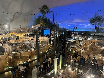 福井県立恐竜博物館に投稿された画像（2025/3/21）