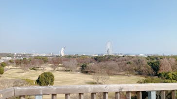 万博記念公園に投稿された画像（2025/3/21）