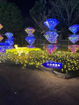 伊豆高原グランイルミに投稿された画像（2025/3/21）