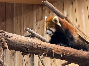 伊豆シャボテン動物公園に投稿された画像（2025/3/21）