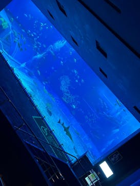 沖縄美ら海水族館×熱帯ドリームセンターに投稿された画像（2025/3/21）
