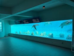 沖縄美ら海水族館×熱帯ドリームセンターに投稿された画像（2025/3/21）