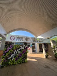 沖縄美ら海水族館×熱帯ドリームセンターに投稿された画像（2025/3/21）