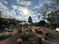 沖縄美ら海水族館×熱帯ドリームセンターに投稿された画像（2025/3/21）