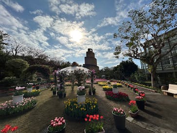 沖縄美ら海水族館×熱帯ドリームセンターに投稿された画像（2025/3/21）