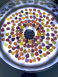 古宇利オーシャンタワーに投稿された画像（2025/3/21）