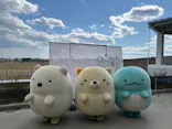 仙台うみの杜水族館に投稿された画像（2025/3/22）