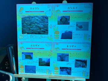 仙台うみの杜水族館に投稿された画像（2025/3/21）