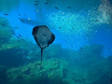 仙台うみの杜水族館に投稿された画像（2025/3/21）