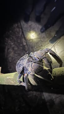 nico 宮古島に投稿された画像（2025/3/21）