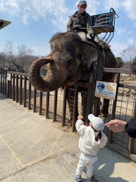 那須サファリパークに投稿された画像（2025/3/21）