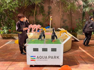 マクセル アクアパーク品川に投稿された画像（2025/3/21）