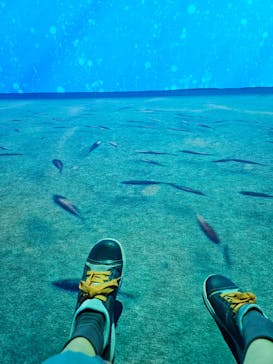 動き出す浮世絵展 TOKYOに投稿された画像（2025/3/21）