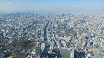 ハルカス300(展望台)に投稿された画像（2025/3/21）