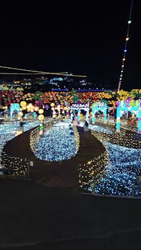 伊豆高原グランイルミに投稿された画像（2025/3/22）