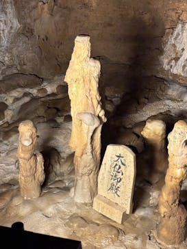 おきなわワールドに投稿された画像（2025/3/22）