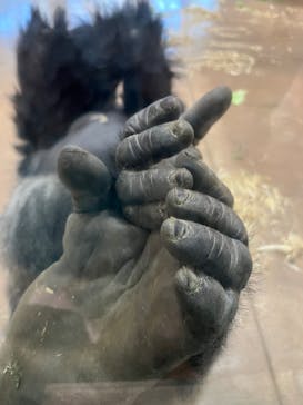 名古屋市東山動植物園に投稿された画像（2025/3/22）