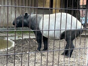 名古屋市東山動植物園に投稿された画像（2025/3/22）