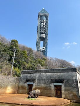 名古屋市東山動植物園に投稿された画像（2025/3/22）