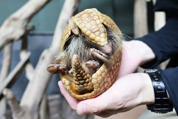 カワスイ 川崎⽔族館に投稿された画像（2025/3/22）