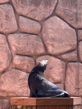 那須どうぶつ王国に投稿された画像（2025/3/22）