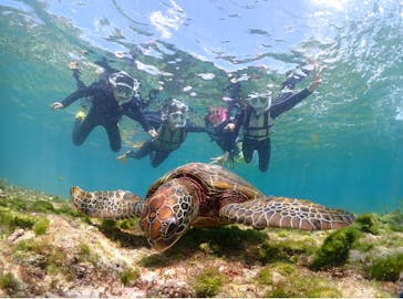 宮古島マリンショップSmileyに投稿された画像（2025/3/22）