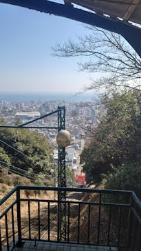 別府ケーブルラクテンチに投稿された画像（2025/3/22）