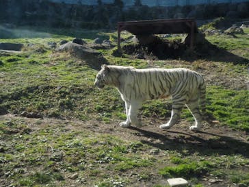 伊豆アニマルキングダムに投稿された画像（2025/3/22）