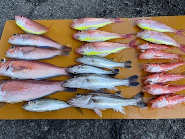 熱海  伊豆山港 第10喜久丸に投稿された画像（2025/3/22）