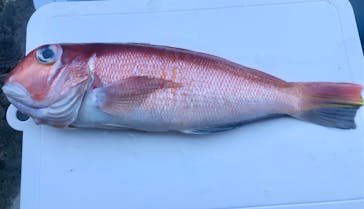 熱海  伊豆山港 第10喜久丸に投稿された画像（2025/3/22）