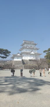 小田原城に投稿された画像（2025/3/22）