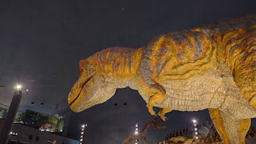福井県立恐竜博物館に投稿された画像（2025/3/22）