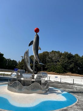 マリンワールド海の中道に投稿された画像（2025/3/22）