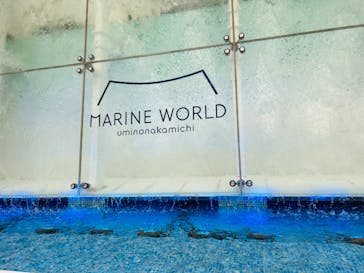 マリンワールド海の中道に投稿された画像（2025/3/22）