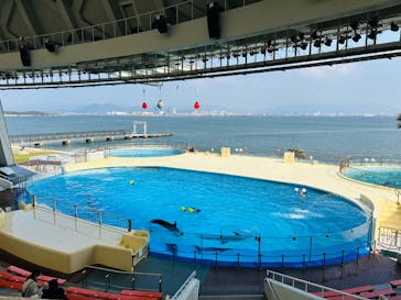 マリンワールド海の中道に投稿された画像（2025/3/22）